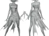 Cyber Valkyrie-2