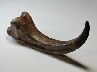Raptor Claw