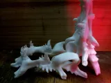 Phone stand- dragon skull-1