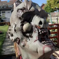 Rotter zombie-3