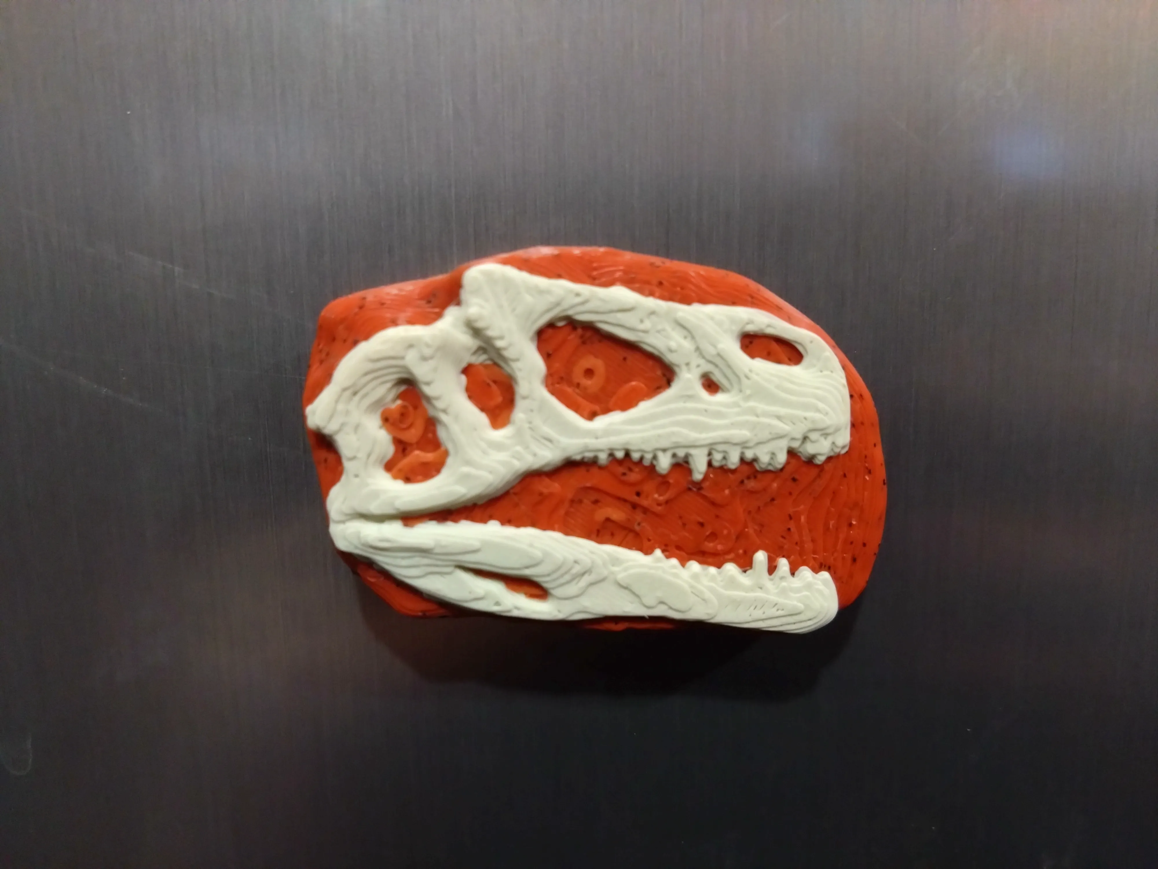 Dinosaur Fossil Skull Magnets