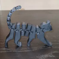 Flexi cat-1