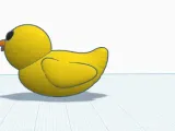 Duck-1