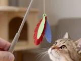 Cat Feather Teaser-2