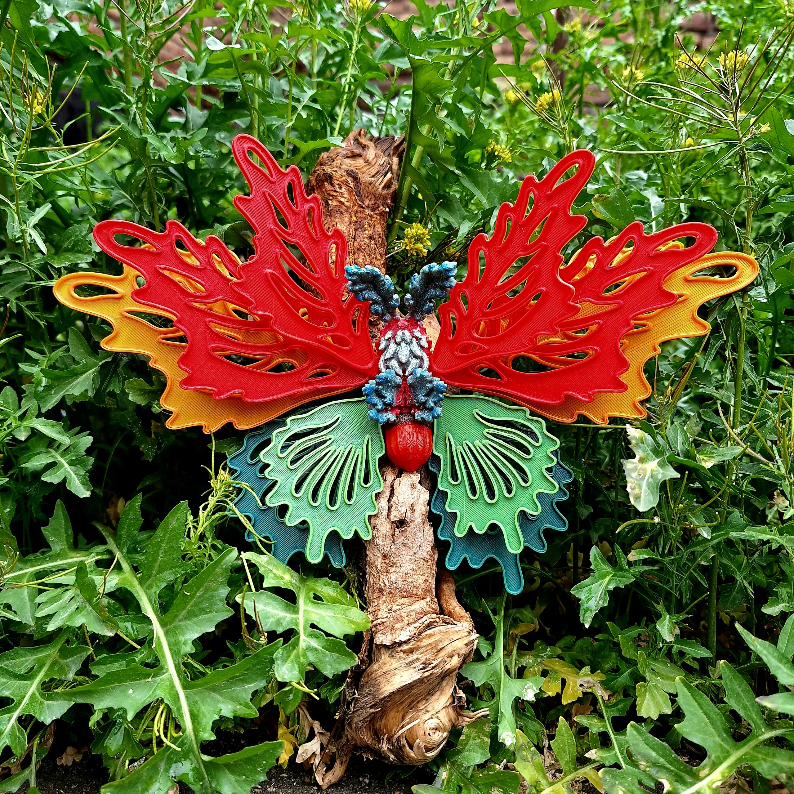 Oakleaf Moth!