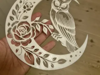 Moon owl