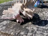 Phoenix Flexible-2