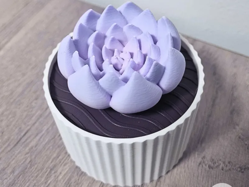Vetplantendoos: Echeveria Crystal Rose