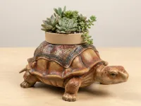 Turtle Planter - Succulent Pot Holder - Decoration-3