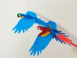 Flying Macaw-2