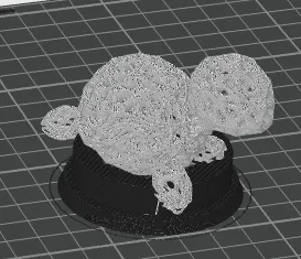 turtle lamp