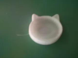 cat bowl