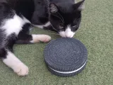Comedouro para gatos Oreo-1