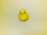 Huhn-1