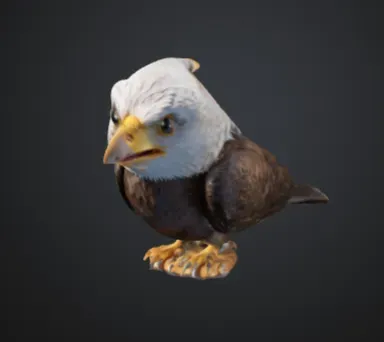 bird