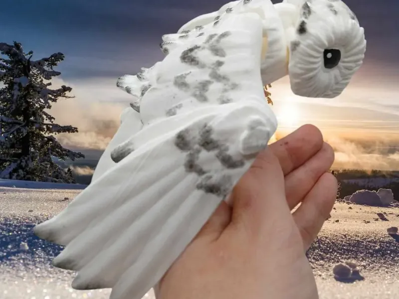 Sneeuwuil