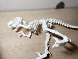 Velociraptor Kit Card-2