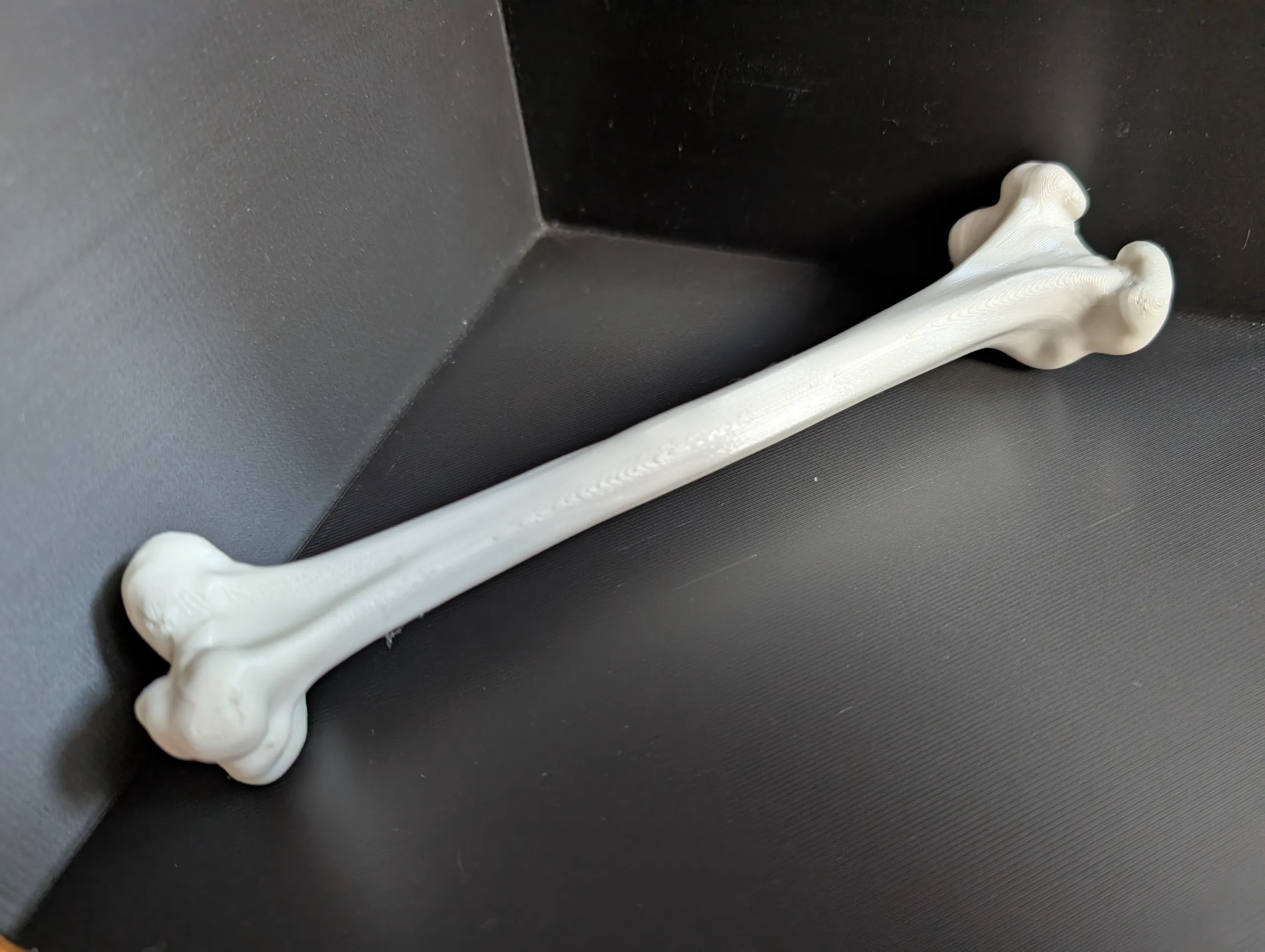 Realistic Dog Bone – Pet Toy & Display Sculpture