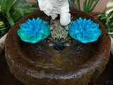 Floating Water Lily-0
