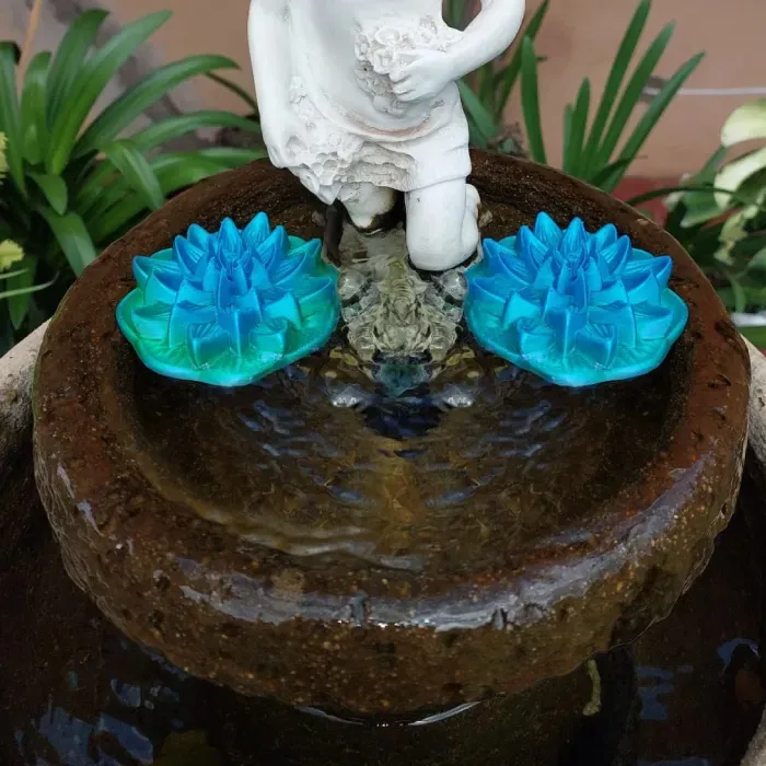 Nénuphar flottant
