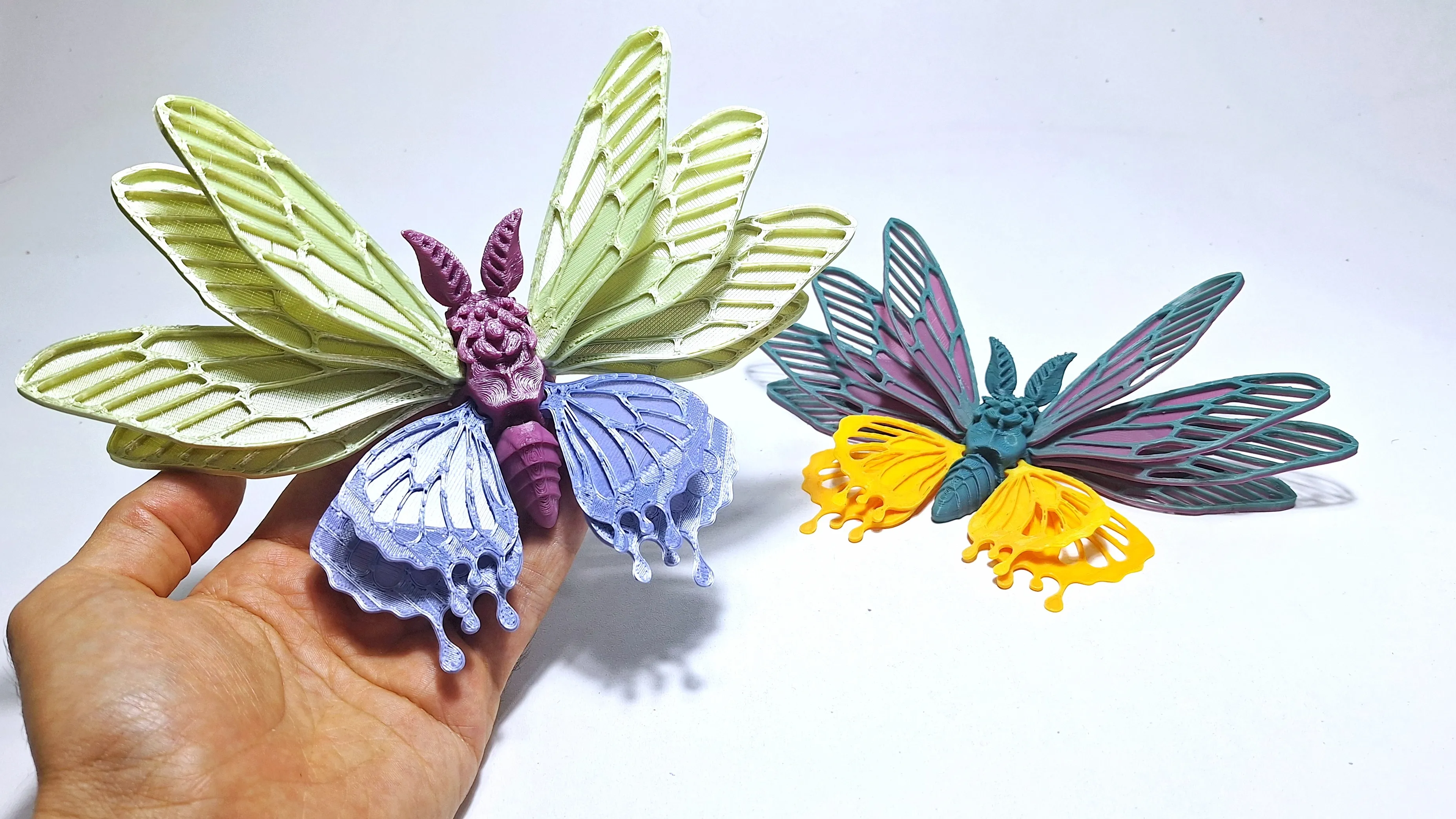Aurora Winged Moth (stl/3mf files)