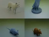 Animals Pack 01-0