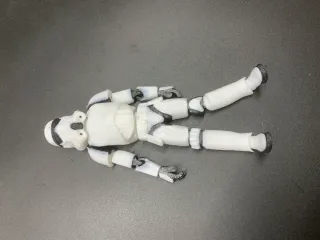 Flexi Print-in-Place Stormtrooper