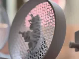War Benchy in Levitation with base-1