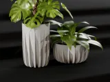Fioriere minimaliste di Polymeria-7