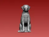 Greyhound - Boerboel Dog - 3D print-1