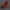Santa Sleigh Christmas Decorations  planter - vase - garden