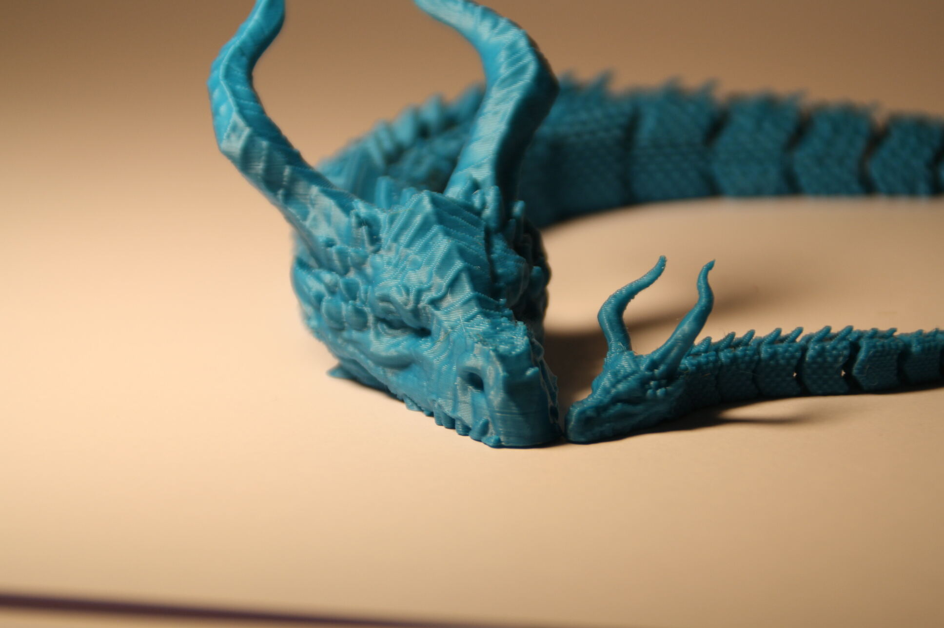 Articulated DRAGON