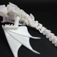Silver Dragon-2