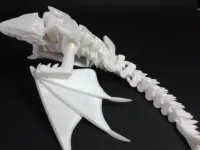 Silver Dragon-2