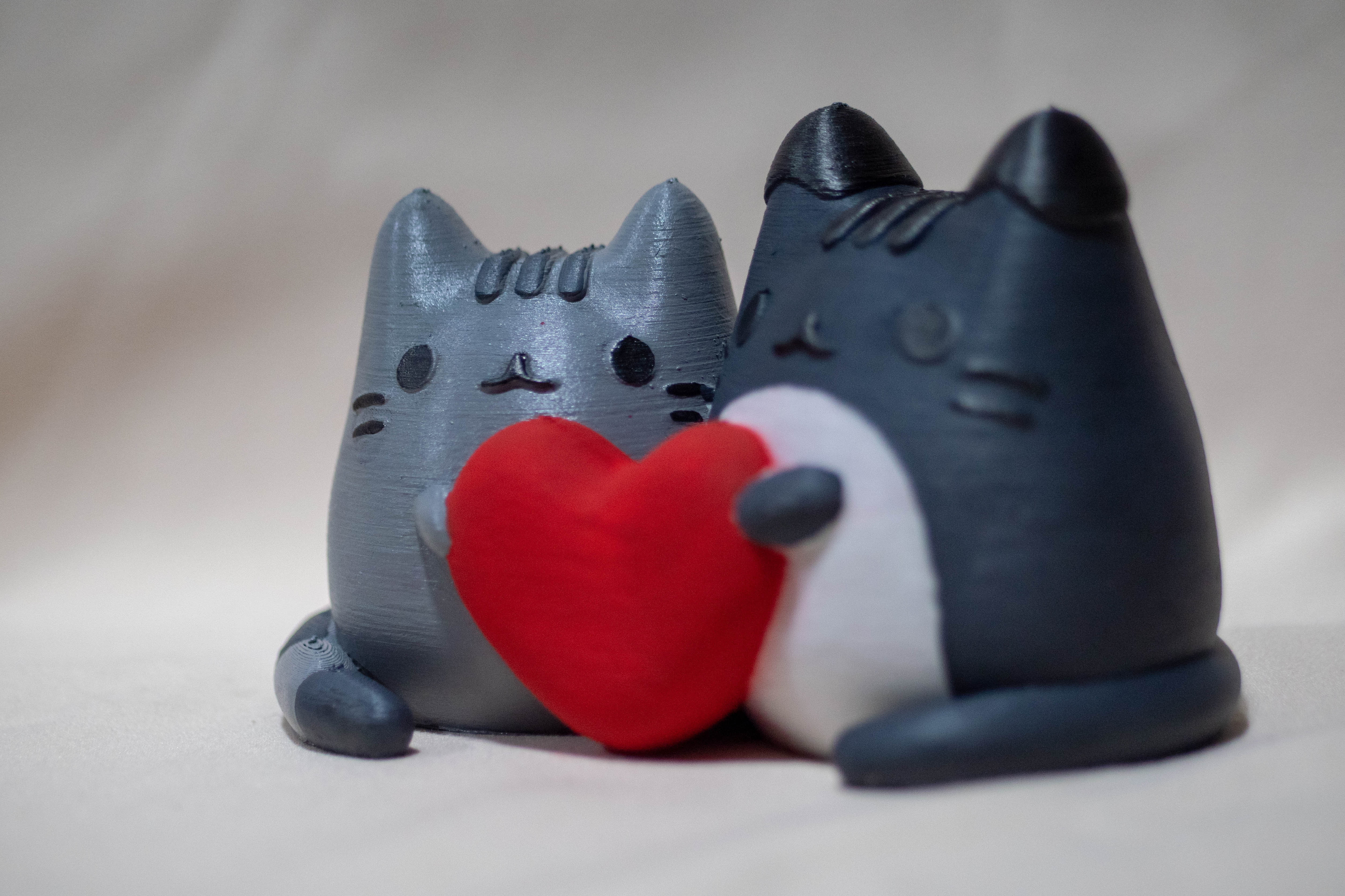 Pusheen X Tommy: a Valentine Model