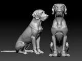 Great Dane dog model - German Mastiff dog statue - 3D print-1