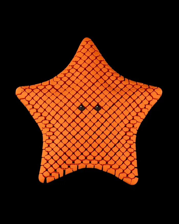 Sea Star - flexi