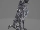 Dog, Shadow-4