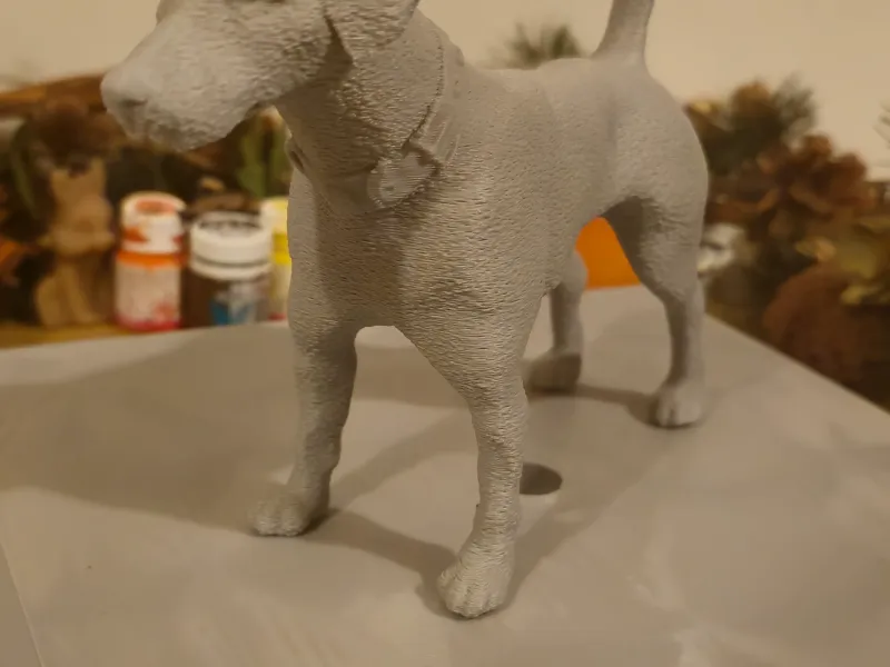Jack Russell Terrier