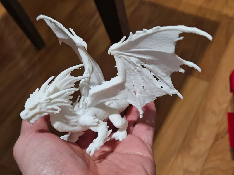 Fire Dragon