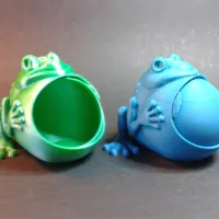 Frog keeps jewelry (not support)-0