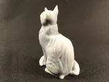 Sitting cat-5