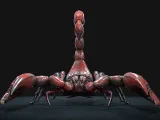 SCORPION-6