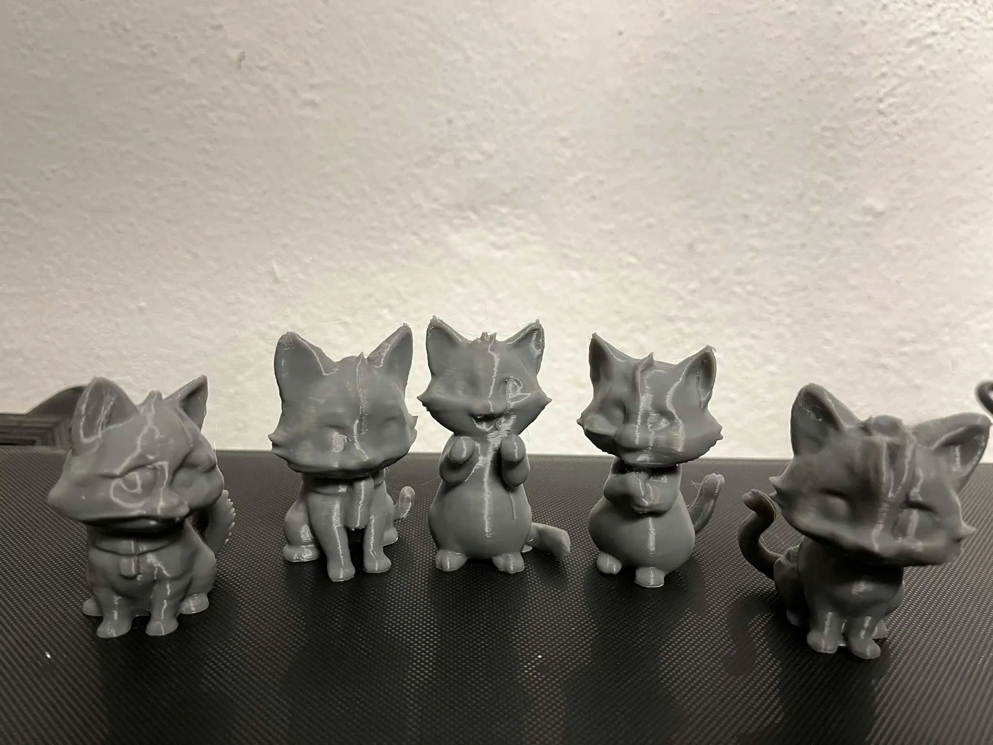 Begging, Squealing kittens, cats
