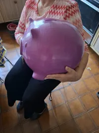 BiggyBank 3D – Giant Piggy Bank for Big Savings-0