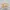 Headband: New Year 2025