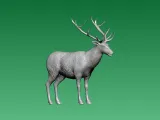 long-horned chamois - 3D print-1