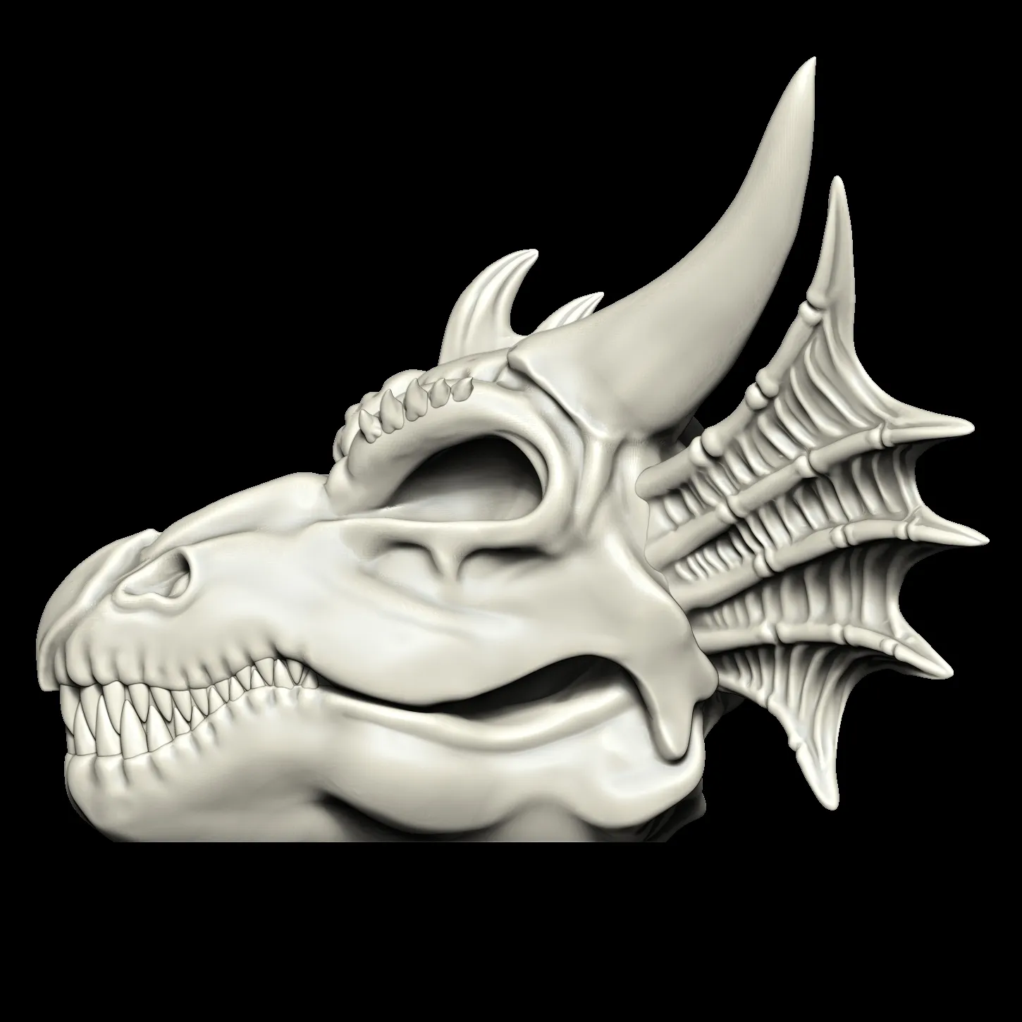 Dragon SKULL skeleton 3D models download Creality Cloud