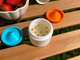 Fruit Fly / Pest Trap-1