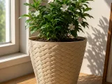 flower pot-1